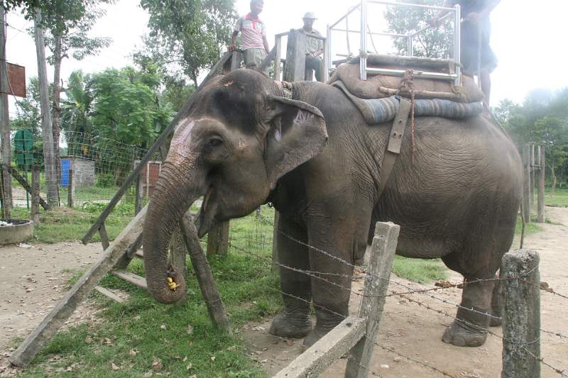 India & Nepal 2011 - 0563